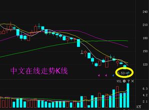 中文在線300364限售股解禁 能否助公司走出低谷，重振互聯(lián)網(wǎng)文化活動(dòng)？