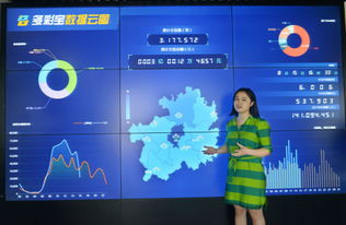 數(shù)博會(huì)擦亮貴陽大數(shù)據(jù)名片——專訪貴州多彩寶互聯(lián)網(wǎng)服務(wù)副總經(jīng)理夏杰